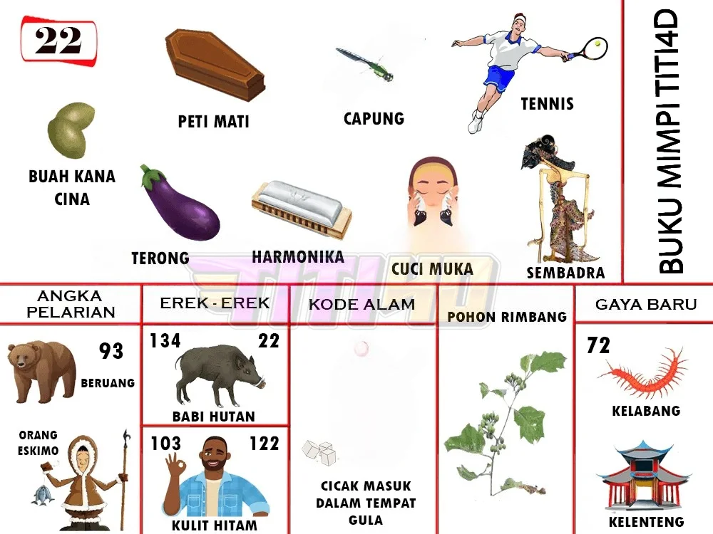 buku mimpi erek erek togel 22