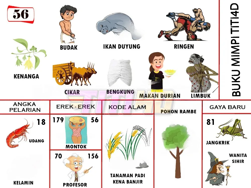 buku mimpi erek erek togel 56